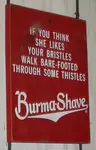 burma shave chin